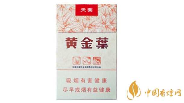 黃金葉天葉真?zhèn)卧趺幢鎰e？天葉真假如何看？