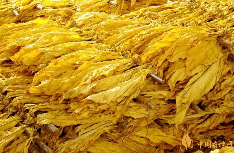 朱砂煙到底是什么煙，云煙朱砂煙有哪幾款